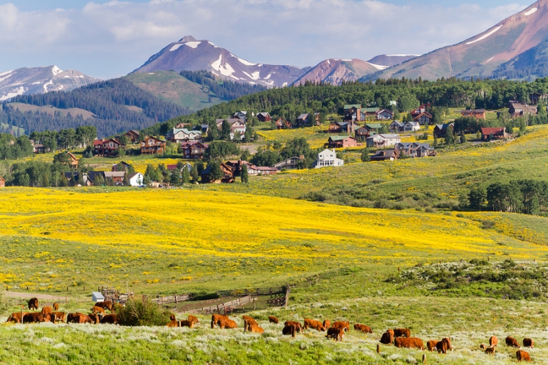 Gunnison County in the state of Colorado