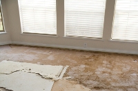 Tips on How to Restore Flooded Carpet Flooring | Central Colorado