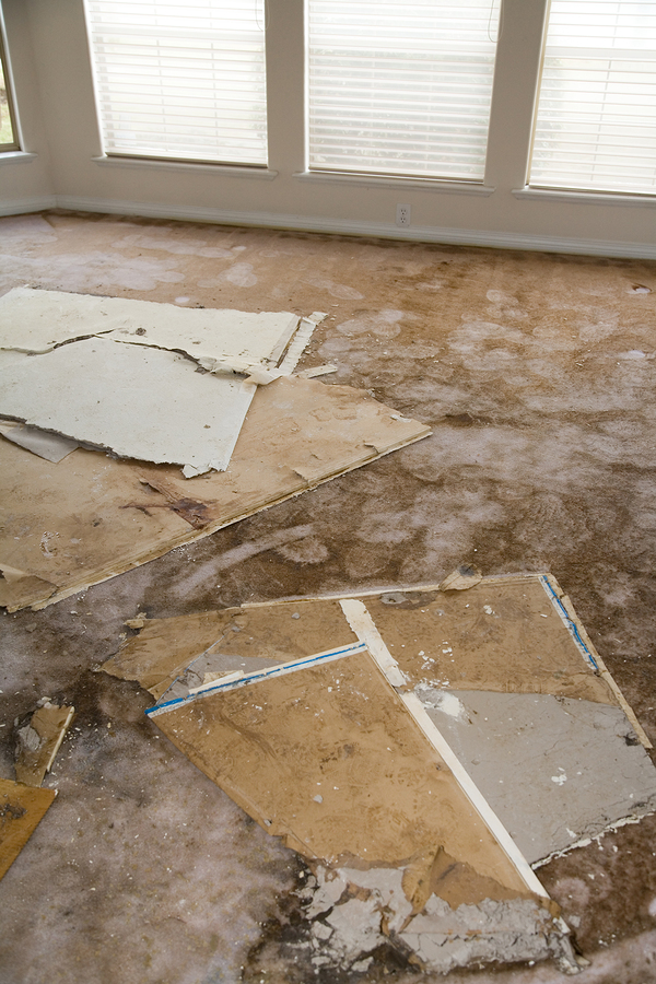 Indoor carpet flooring damaged by water and storm