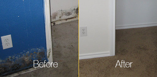Before and after cleaning mold in wall and cabinate