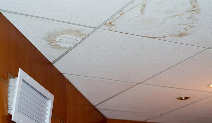 plasterboard ceiling water leak mold damage