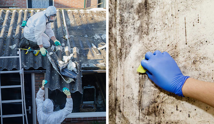 Asbestos Abatement & Mold Removal 