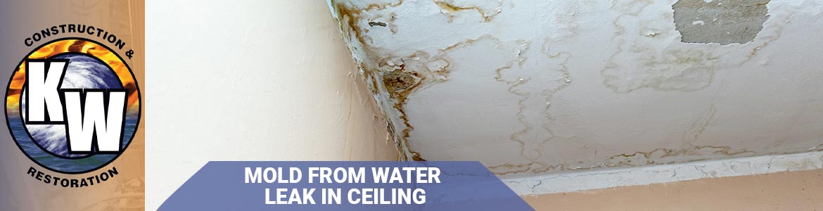 Mold From Ceiling Water Leaks In