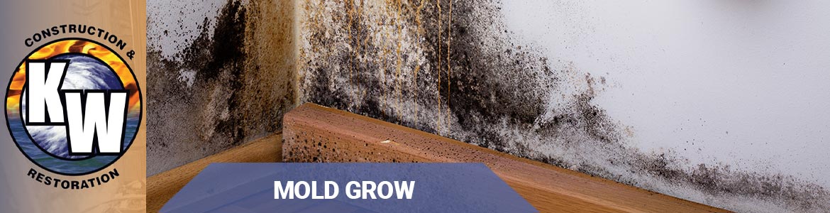 How Fast Does Mold Grow? | KW Construction & Restoration