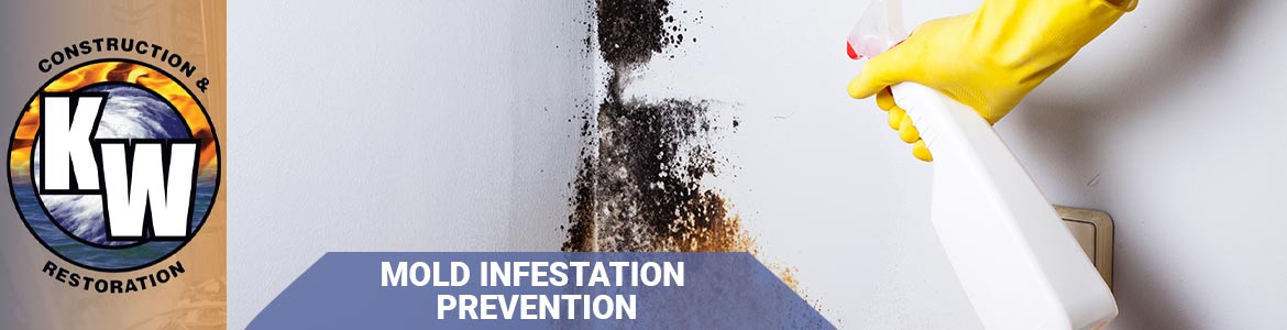 Mold Prevention in Colorado Springs & Leadville, CO | KW Restoration