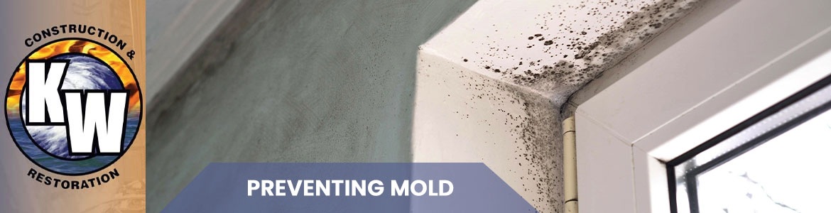 Mold Prevention Services Banner