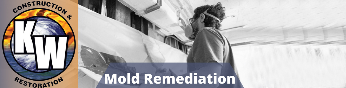 Mold Removal and Remediation | Colorado Springs and Leadville, CO