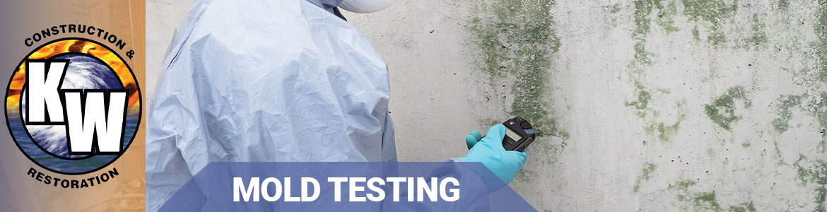 Mold Testing