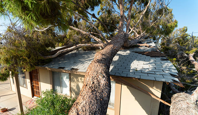 Disaster Restoration in Manitou Springs