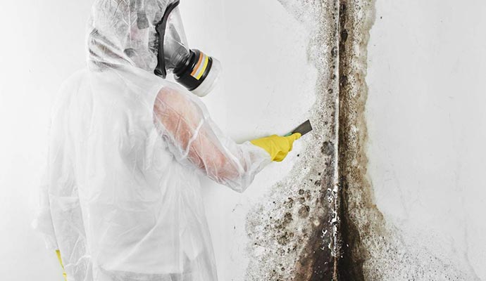 Man Wear Uniform Mold Removal