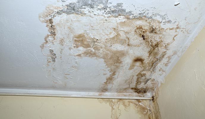 mold water leak on white ceiling
