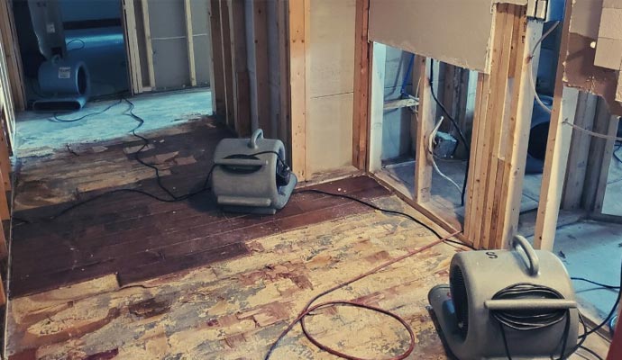 water mitigation and restoration