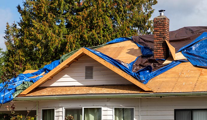 white house blue tarp